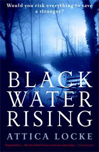 Black Water Rising - book cover